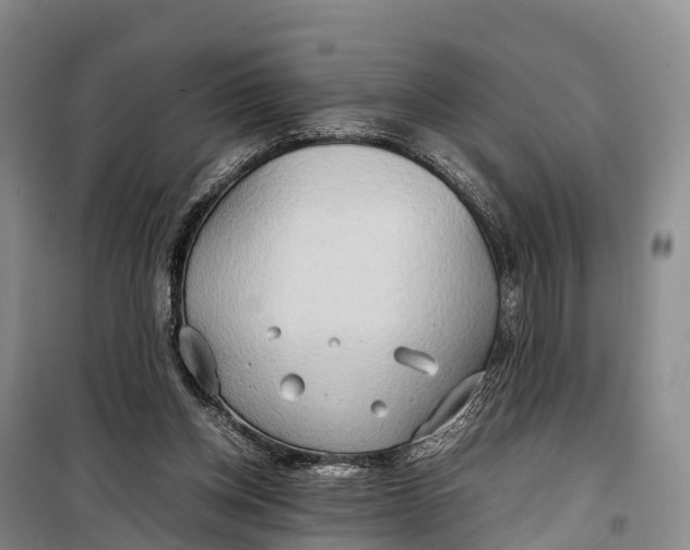 X0000099230158200805151637