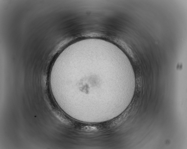 X0000099230159200805151638