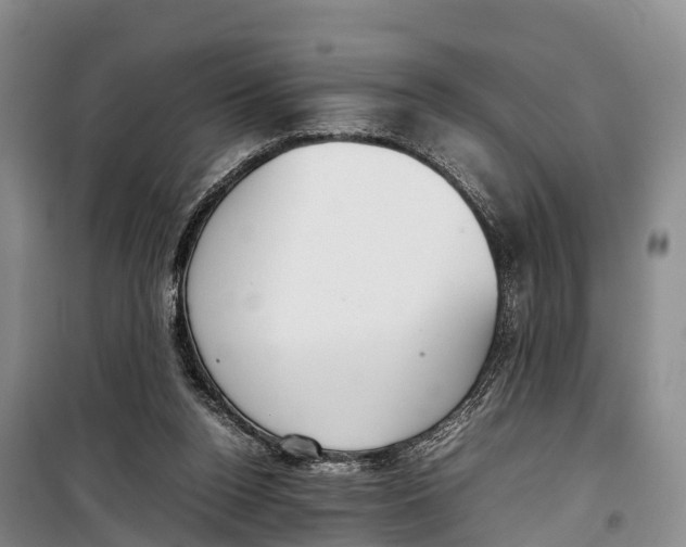 X0000099230160200805151638