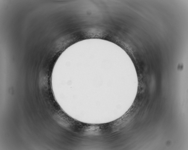 X0000099230162200805151638