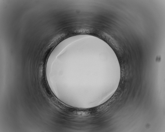 X0000099230163200805151638