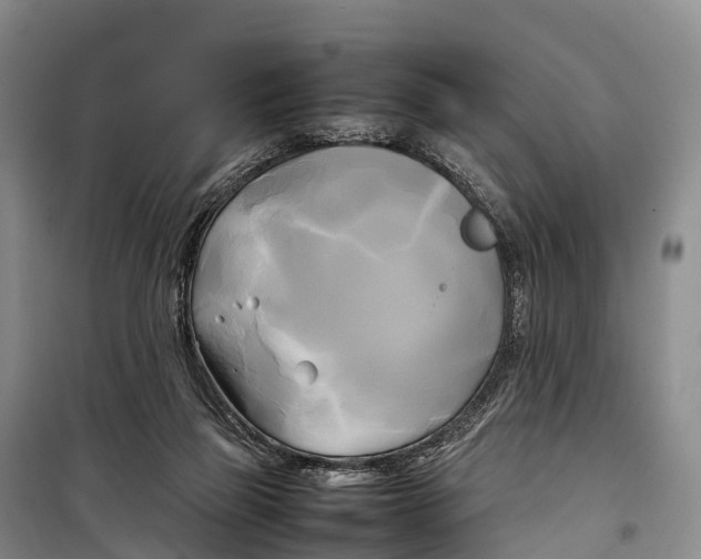 X0000099230165200805151638