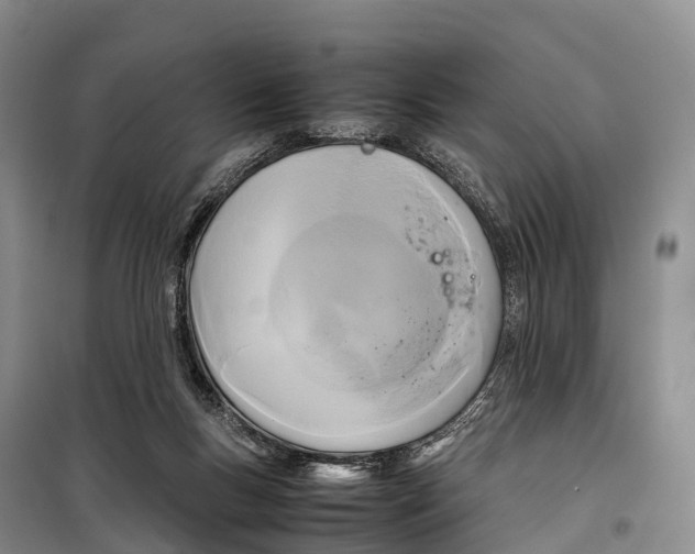 X0000099230167200805151638