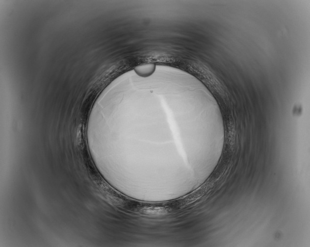 X0000099230169200805151638