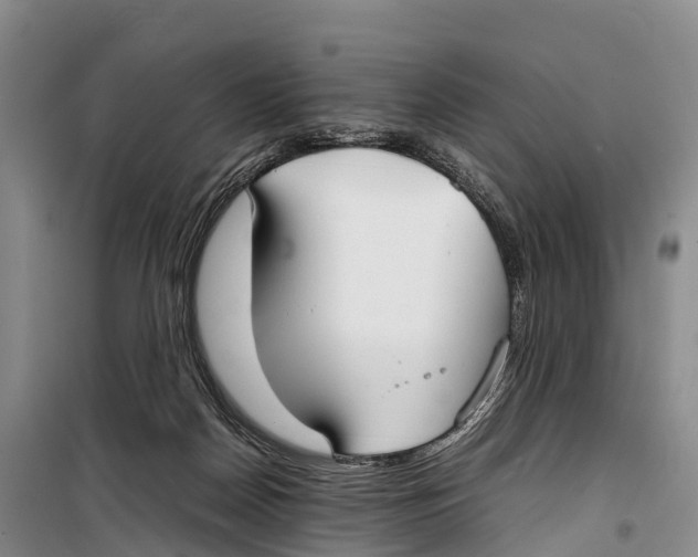 X0000099230170200805151638