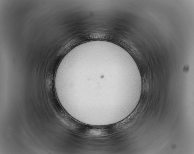 X0000099230171200805151638