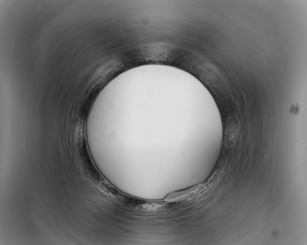 X0000099230172200805151638