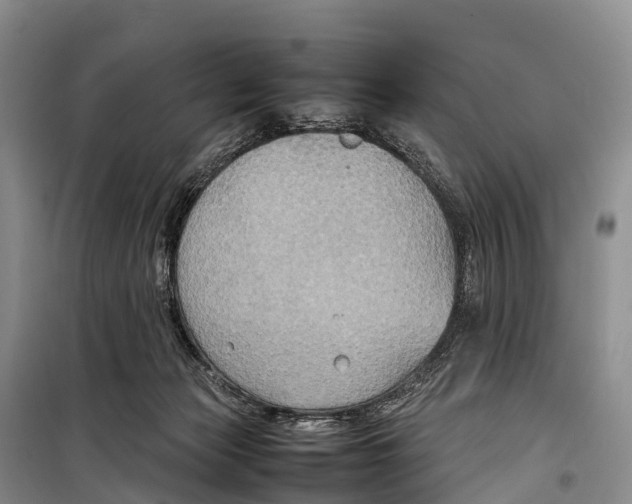 X0000099230173200805151638