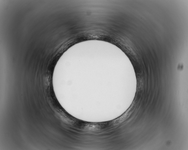 X0000099230174200805151638