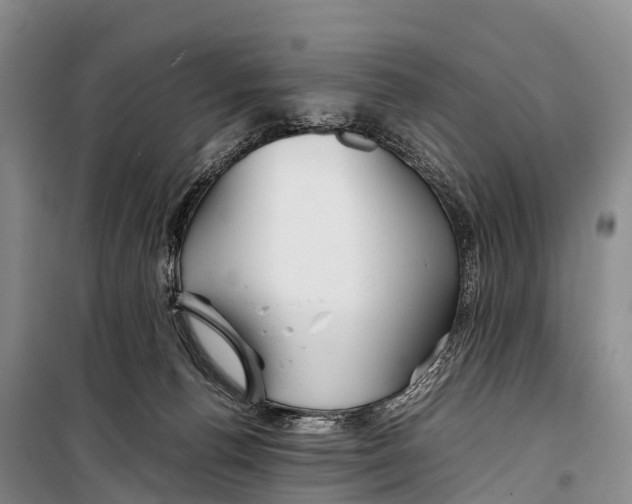 X0000099230176200805151638