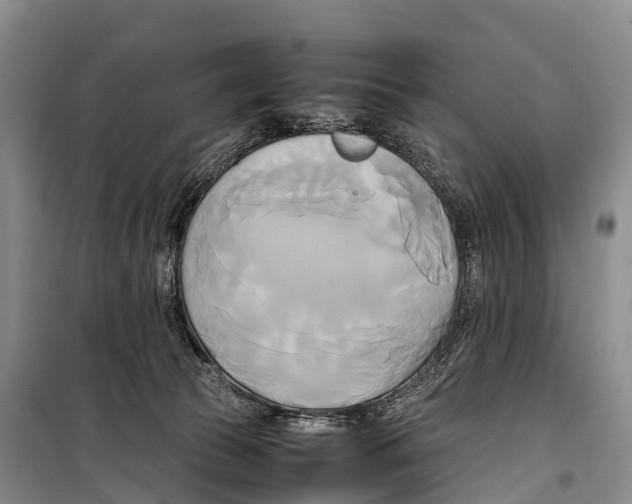 X0000099230177200805151638