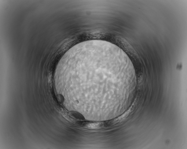 X0000099230178200805151638