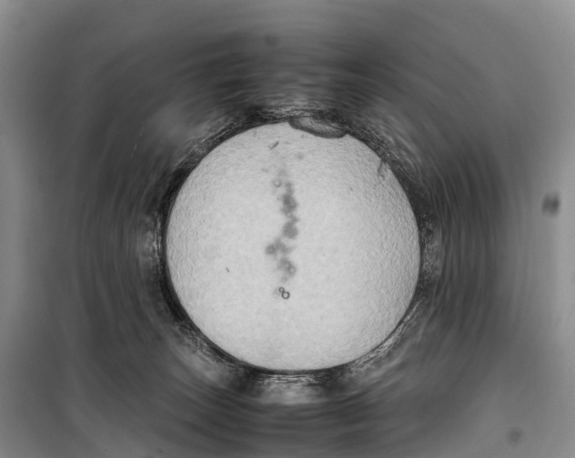 X0000099230179200805151638