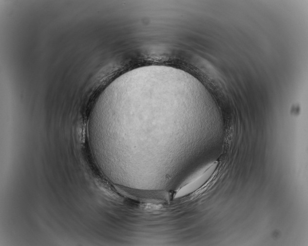 X0000099230180200805151638