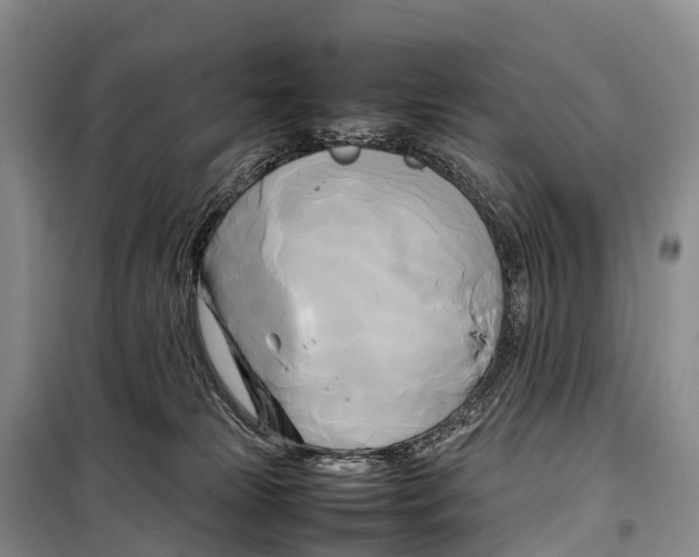 X0000099230181200805151638