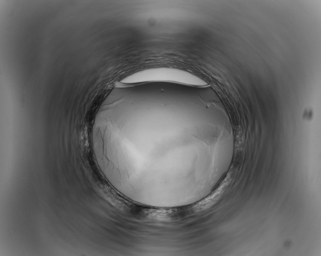 X0000099230182200805151638