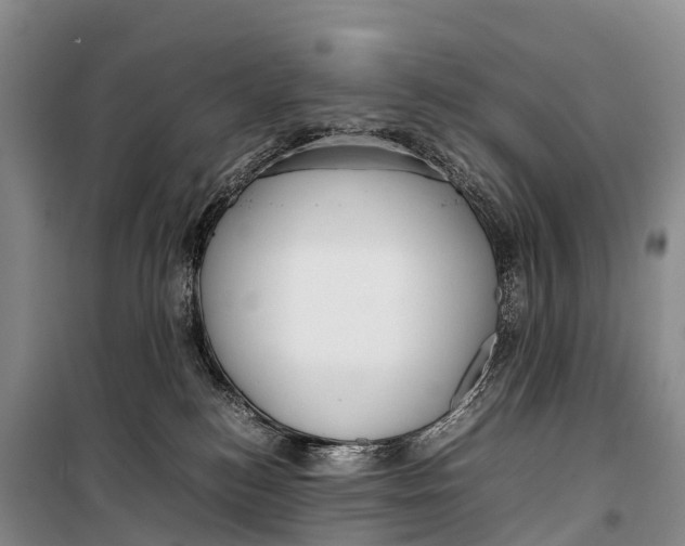 X0000099230184200805151638