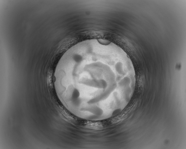 X0000099230185200805151638