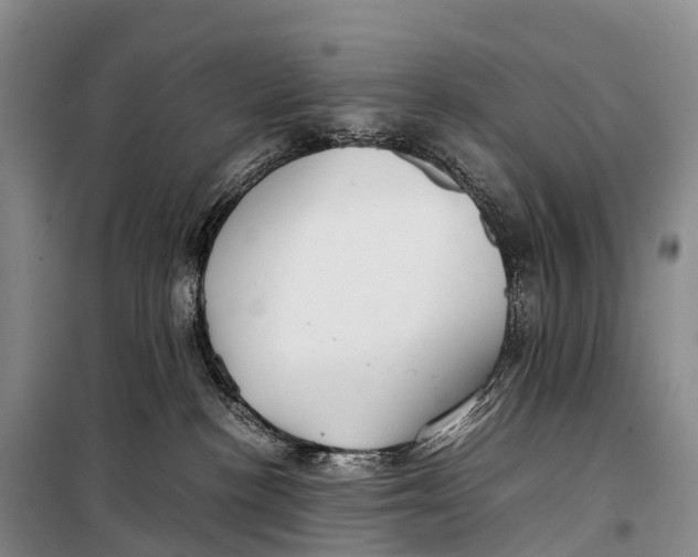 X0000099230188200805151638