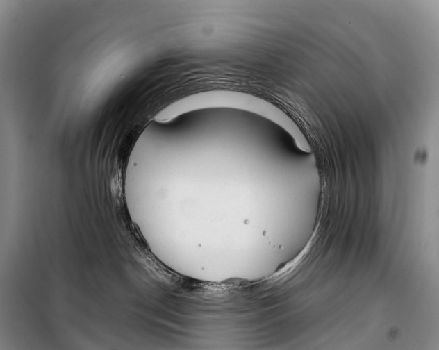 X0000099230190200805151638