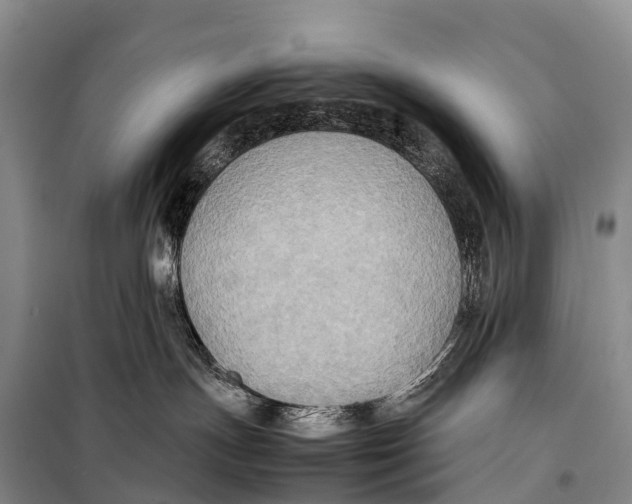 X0000099230191200805151638