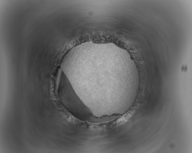 X0000099230192200805151638