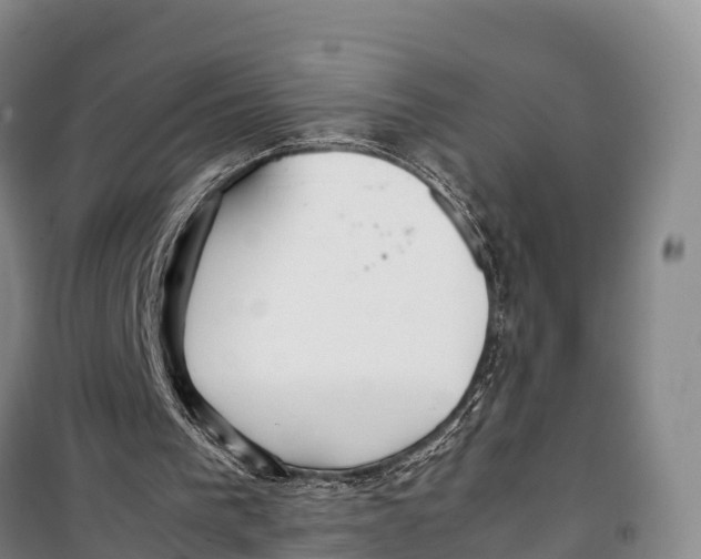 X0000099230193200805151637