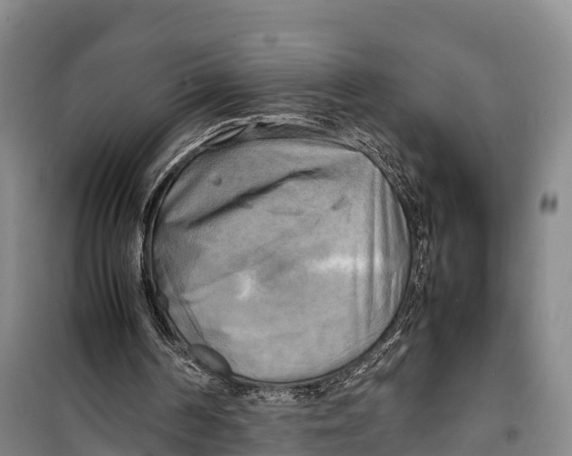 X0000099230194200805151637