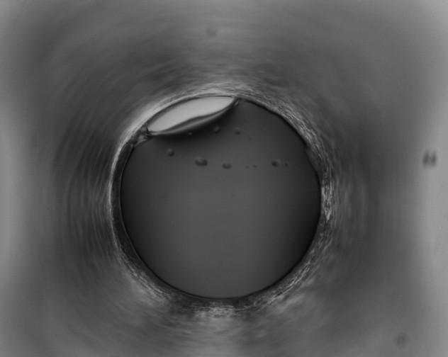 X0000099230196200805151637