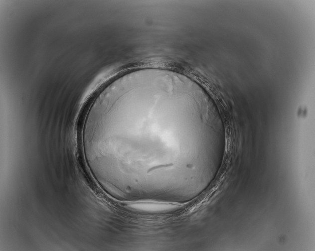 X0000099230198200805151637