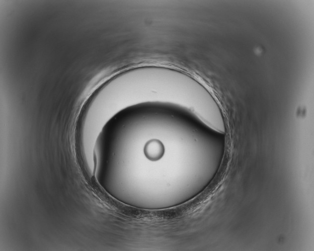 X0000099230199200805151637