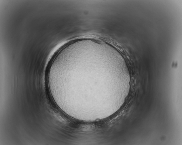 X0000099230200200805151637