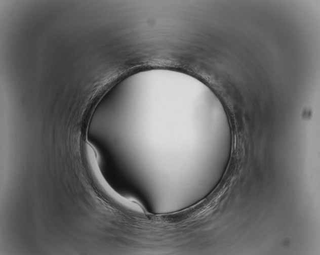 X0000099230201200805151637