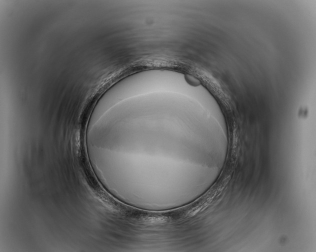 X0000099230202200805151637