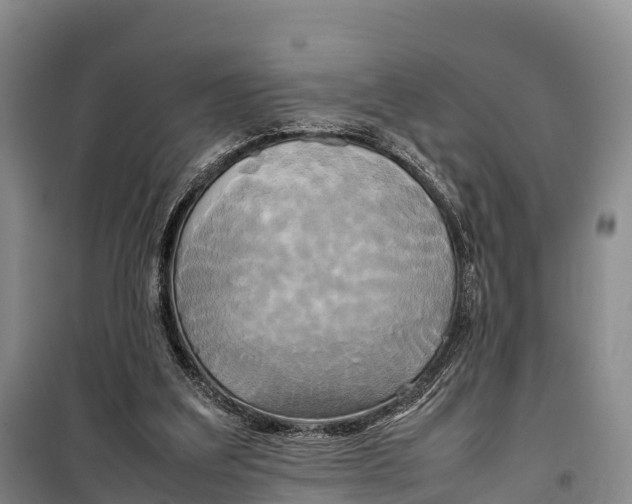 X0000099230203200805151637