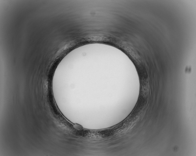 X0000099230207200805151637