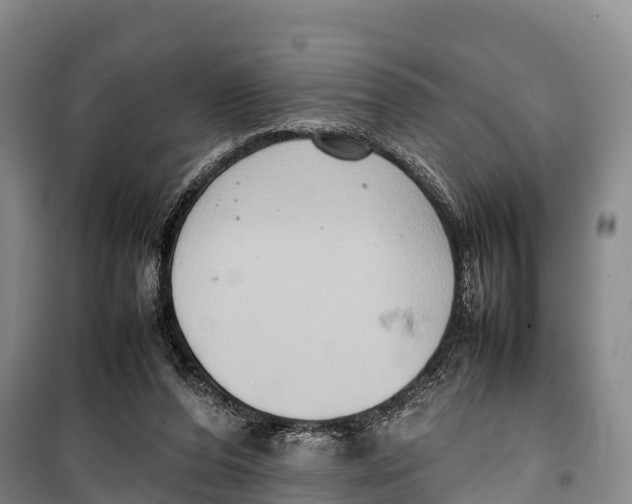 X0000099230208200805151637