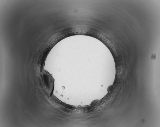 X0000099230209200805151637