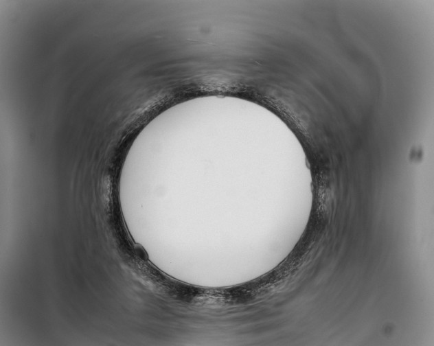 X0000099230211200805151637