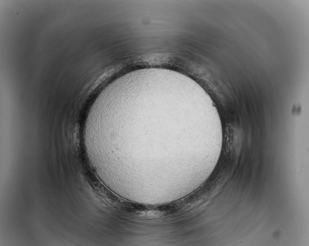 X0000099230212200805151637