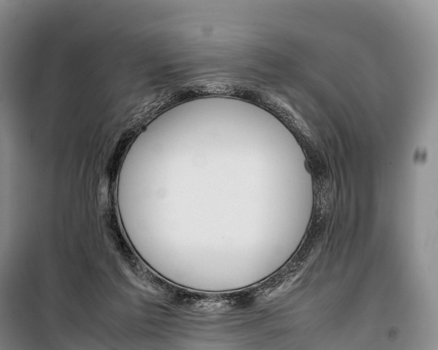 X0000099230213200805151637