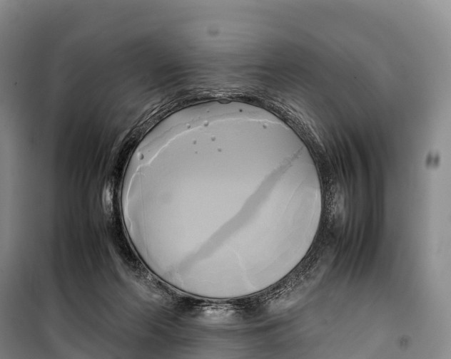 X0000099230214200805151637