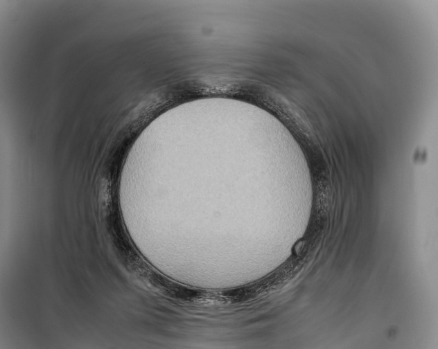 X0000099230215200805151637