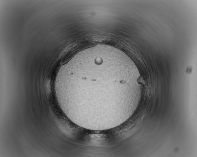 X0000099230216200805151637