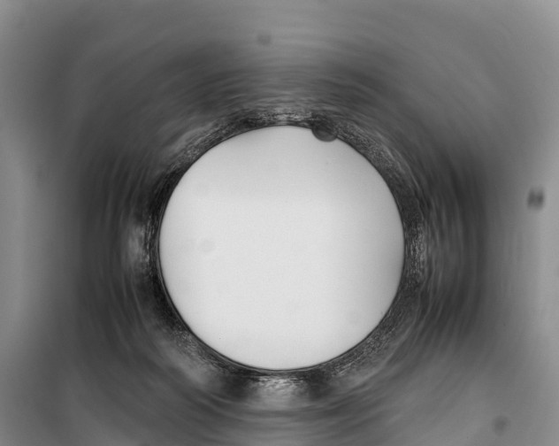 X0000099230218200805151637