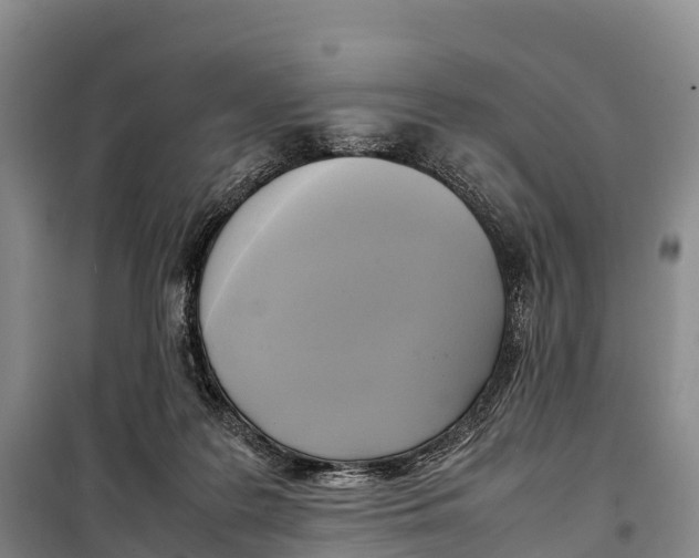 X0000099230219200805151637