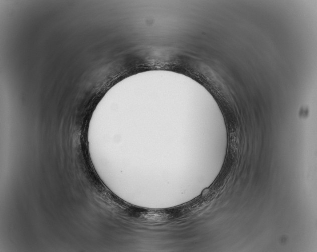 X0000099230221200805151637