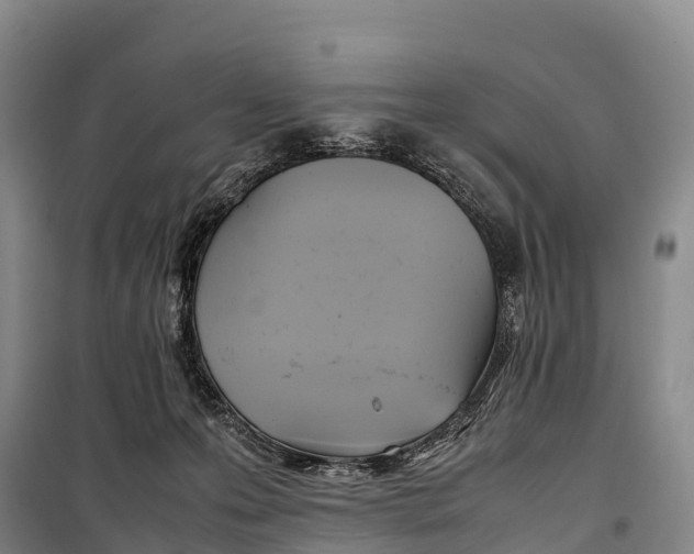 X0000099230223200805151637