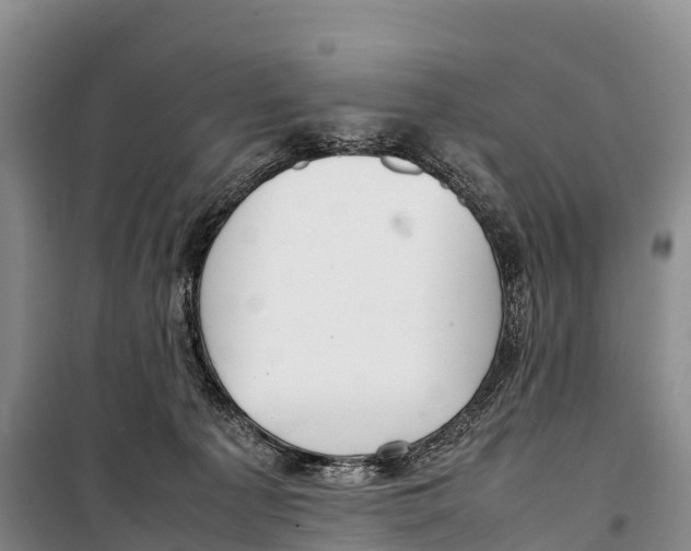 X0000099230225200805151637