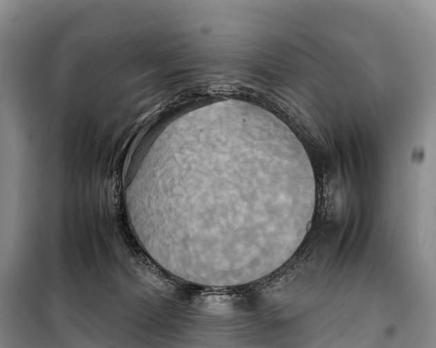 X0000099230228200805151637